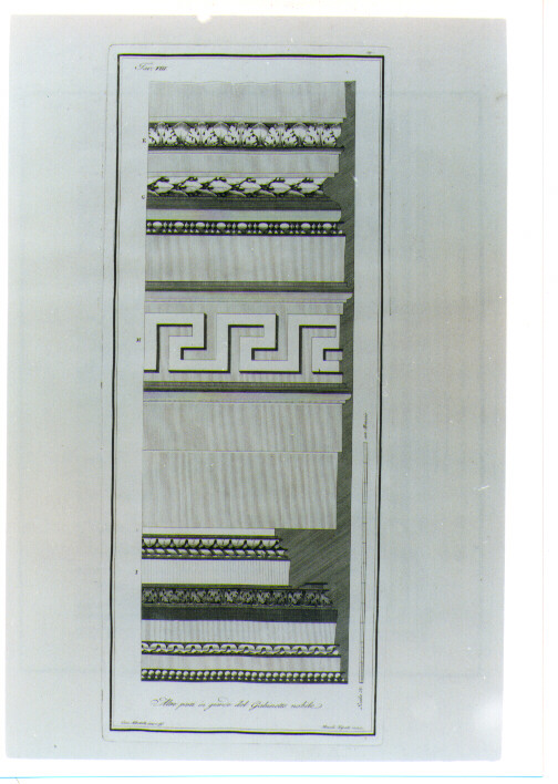 MOTIVI DECORATIVI GEOMETRICI E VEGETALI STILIZZATI (stampa) di Albertolli Giocondo il Vecchio, Mercoli Giacomo (sec. XVIII)