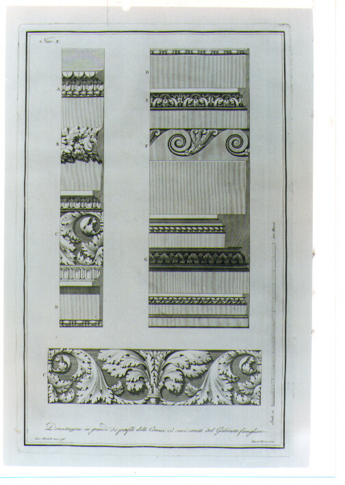 MOTIVI DECORATIVI GEOMETRICI E VEGETALI STILIZZATI (stampa) di Albertolli Giocondo il Vecchio, Mercoli Giacomo (sec. XVIII)