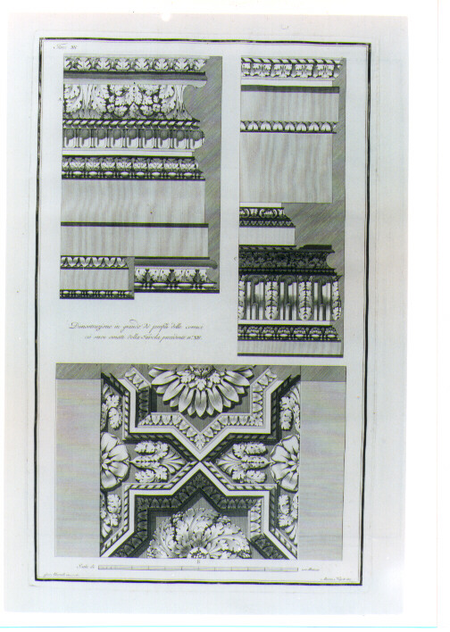 MOTIVI DECORATIVI GEOMETRICI E VEGETALI STILIZZATI (stampa) di Albertolli Giocondo il Vecchio, Mercoli Giacomo (sec. XVIII)