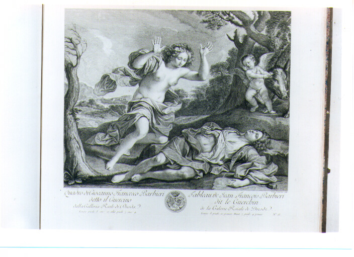 MORTE DI ADONE (stampa) di Internari Giovanni Battista, Barbieri Giovan Francesco detto Guercino, Lempereur Louis Simon (sec. XVIII)