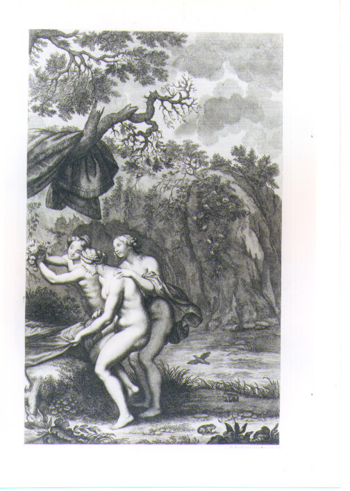VENERE E ADONE (stampa) di Rubens Pieter Paul, Lorenzini Giovanni Antonio detto Fra Antonio, Petrucci Francesco (sec. XVII)
