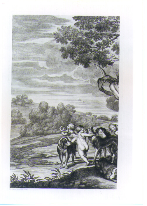 VENERE E ADONE (stampa) di Rubens Pieter Paul, Lorenzini Giovanni Antonio detto Fra Antonio, Petrucci Francesco (sec. XVII)