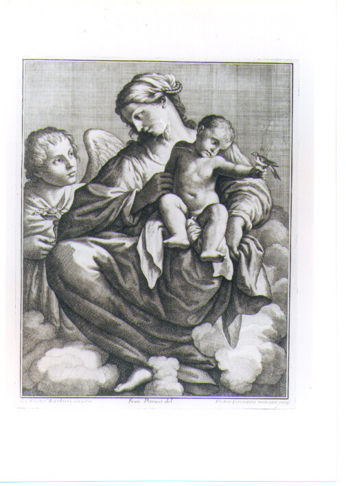 MADONNA CON BAMBINO CHE GIOCA CON UN UCCELLINO (stampa) di Barbieri Giovan Francesco detto Guercino, Lorenzini Giovanni Antonio detto Fra Antonio, Petrucci Francesco (sec. XVII)