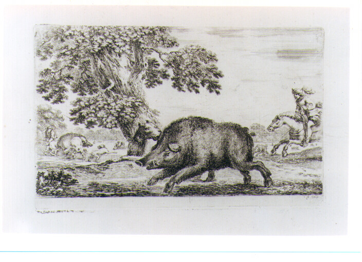CACCIA AL CINGHIALE (stampa) di Della Bella Stefano (sec. XVII)