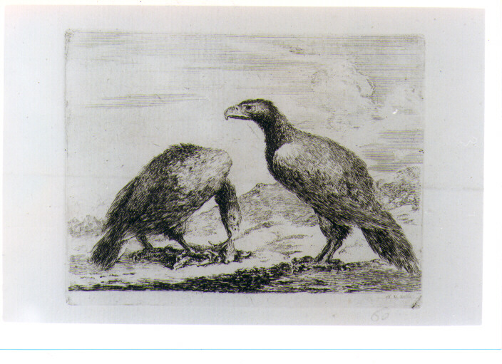 PAESAGGIO MONTANO CON AQUILE (stampa) di Della Bella Stefano (sec. XVII)