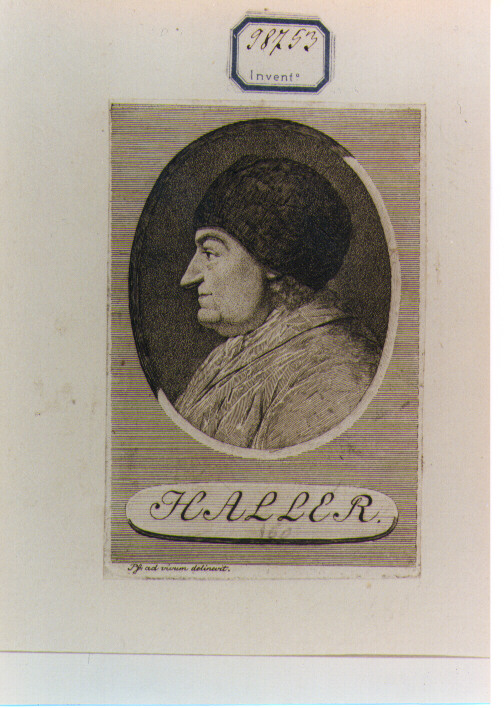 RITRATTO DI HALLER (stampa controfondata smarginata) di Pfenninger Heinrich (secc. XVIII/ XIX)