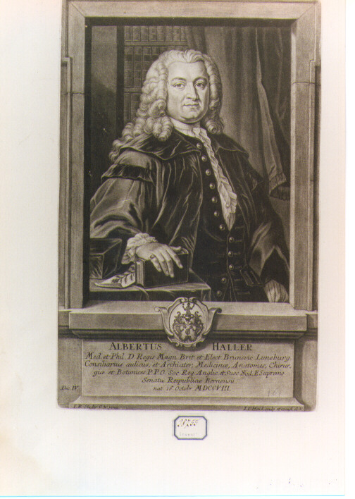 RITRATTO DI ALBERTUS HALLER (stampa controfondata smarginata) di Haid Johann Jakob (sec. XVIII)