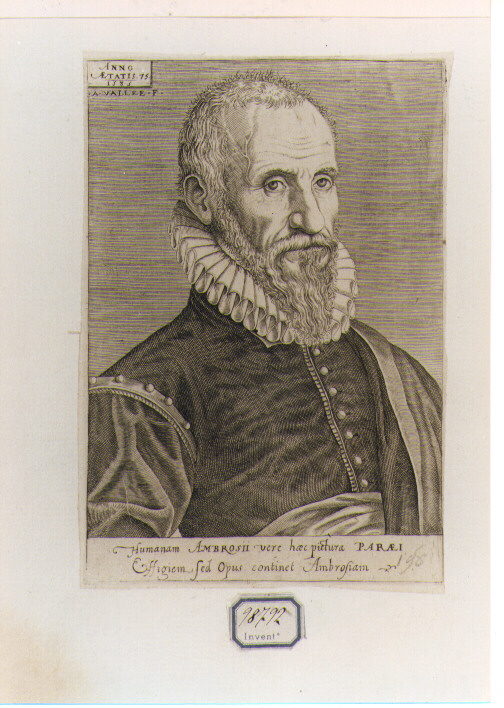 RITRATTO DI AMBROSII (stampa controfondata smarginata) di Vallée Alexandre (sec. XVI)