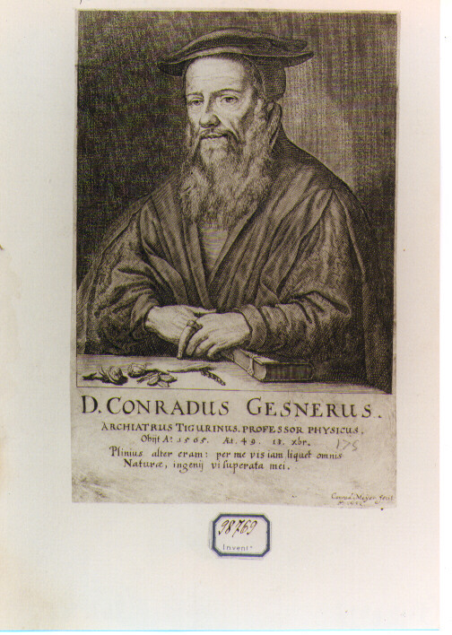 RITRATTO DI CONRADUS GESNERUS (stampa controfondata smarginata) di Meyer Conrad (sec. XVII)