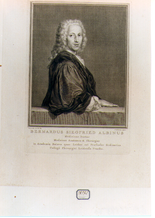 RITRATTO DI BERNARDUS SIEGFRIED ALBINUS (stampa controfondata) di De Moor Carel, Houbraken Jacobus (sec. XVIII)