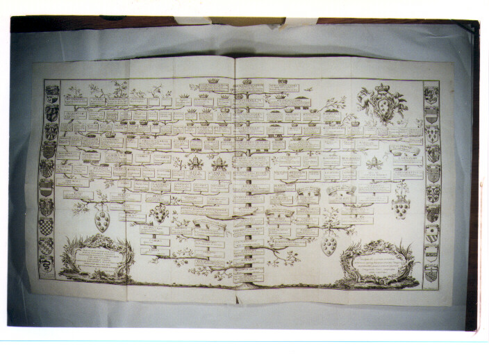 ALBERO GENEALOGICO DELLA FAMIGLIA MEDICI (stampa) di Dei Giovanni Battista, Allegrini Francesco (sec. XVIII)