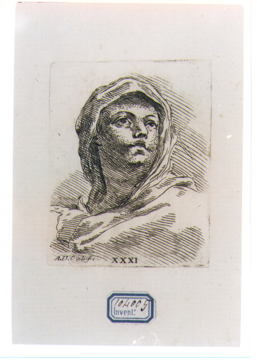 TESTA DI DONNA (stampa) di Gabbiani Antonio Domenico (sec. XVIII)