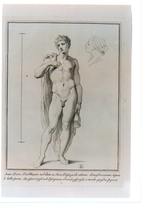 FIGURA MASCHILE NUDA E TESTA DI DONNA (stampa) di Gabbiani Antonio Domenico, Gregori Carlo (sec. XVIII)