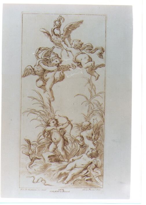 CUPIDO E PUTTI CHE GIOCANO (stampa a colori) di Gabbiani Antonio Domenico, Pacini Sante (sec. XVIII)