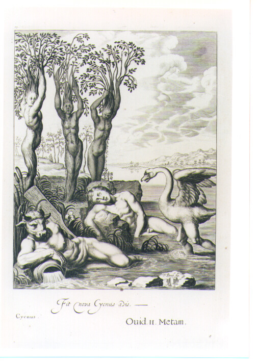CICNO (stampa) di Brebiette Paul, Bloemaert Cornelis il Giovane, Matham Theodor (sec. XVII)