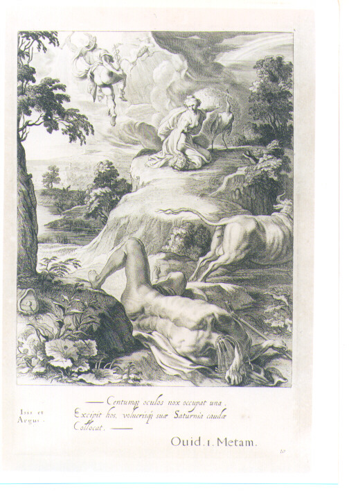 IO E ARGO (stampa) di Van Diepenbeeck Abraham, Bloemaert Cornelis il Giovane, Matham Theodor (sec. XVII)