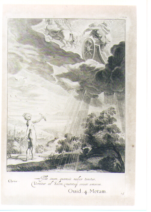 APOLLO E CLIZIA (stampa) di Van Diepenbeeck Abraham, Bloemaert Cornelis il Giovane, Matham Theodor (sec. XVII)