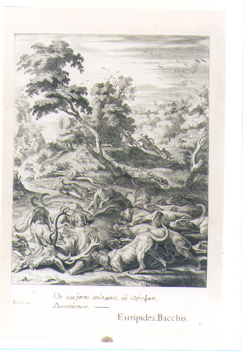 ATTEONE DIVORATO DAI CANI (stampa) di Van Diepenbeeck Abraham, Bloemaert Cornelis il Giovane, Matham Theodor (sec. XVII)
