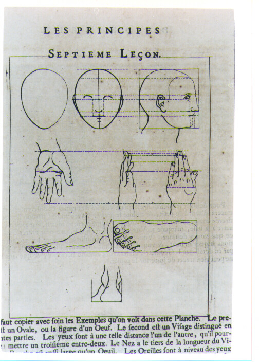 STUDIO DI TESTA, MANI E PIEDI (stampa) di De Lairesse Gèrard (CERCHIA) (sec. XVIII)