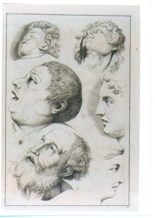 STUDIO DI TESTE (stampa) di De Lairesse Gèrard (CERCHIA) (sec. XVIII)