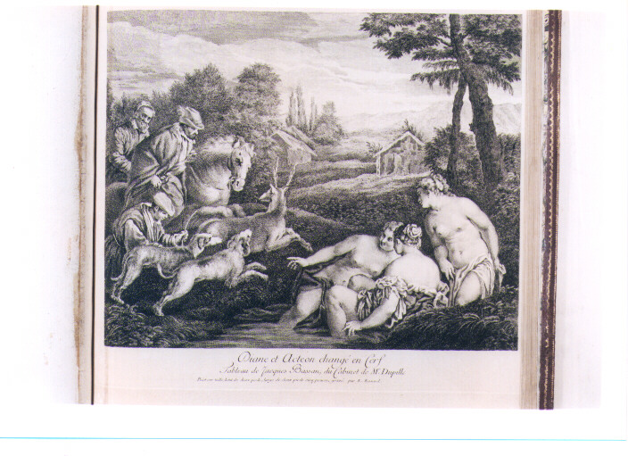 DIANA E ATTEONE TRASFORMATO IN CERVO (stampa) di Da Ponte Francesco detto Jacopo Bassano, Fessard Etienne (sec. XVIII)