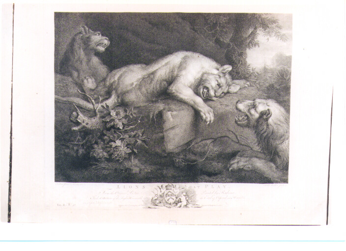 LEONI (stampa) di Rubens Pieter Paul, Walker William I, Earlom Richard (sec. XVIII)