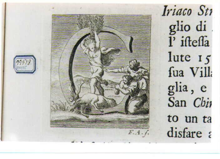 CAPOLETTERA C CON CIPARISSO (stampa) di Allegrini Francesco (sec. XVIII)