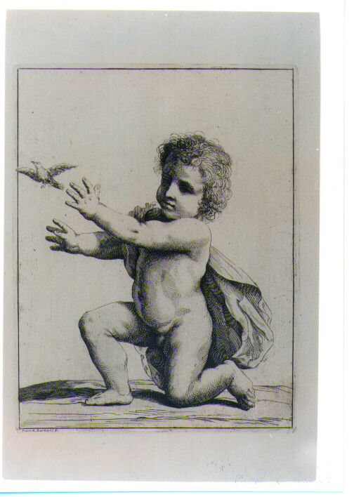 PUTTO CHE GIOCA CON UN UCCELLO (stampa) di Barbieri Giovan Francesco detto Guercino (attribuito) (sec. XVII)