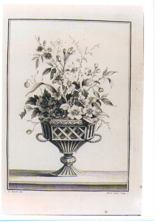 VASO CON FIORI (stampa) di Tessier Louis, Avril Jean Jacques (sec. XVIII)