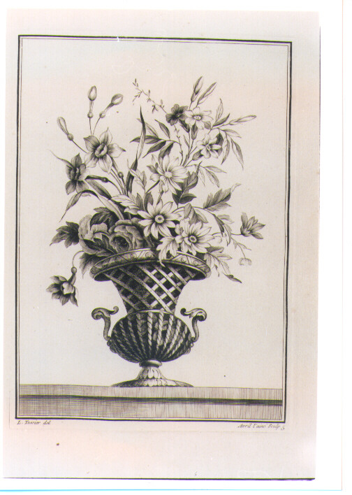 VASO CON FIORI (stampa) di Tessier Louis, Avril Jean Jacques (sec. XVIII)