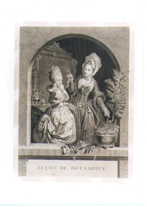LEZIONE BOTANICA (stampa controfondata) di Chevillet Juste, Schenau Johan Eleazar Zeizig (seconda metà sec. XVIII)