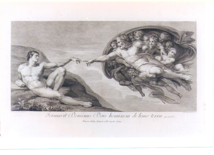 CREAZIONE DI ADAMO (stampa) di Buonarroti Michelangelo, Cunego Domenico (sec. XVIII)