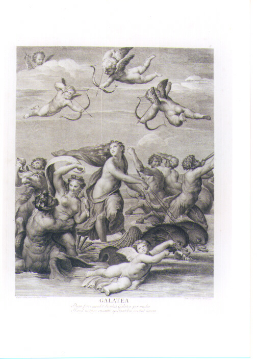 GALATEA (stampa) di Sanzio Raffaello detto Raffaello, Cunego Domenico (sec. XVIII)