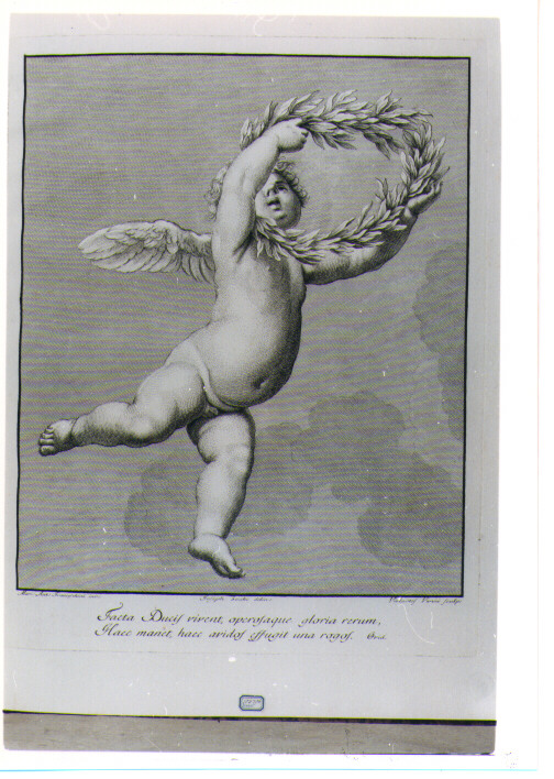 PUTTO ALATO CON CORONA DI ALLORO (stampa) di Franceschini Marcantonio, Vanni Violanta, Zocchi Giuseppe (sec. XVIII)