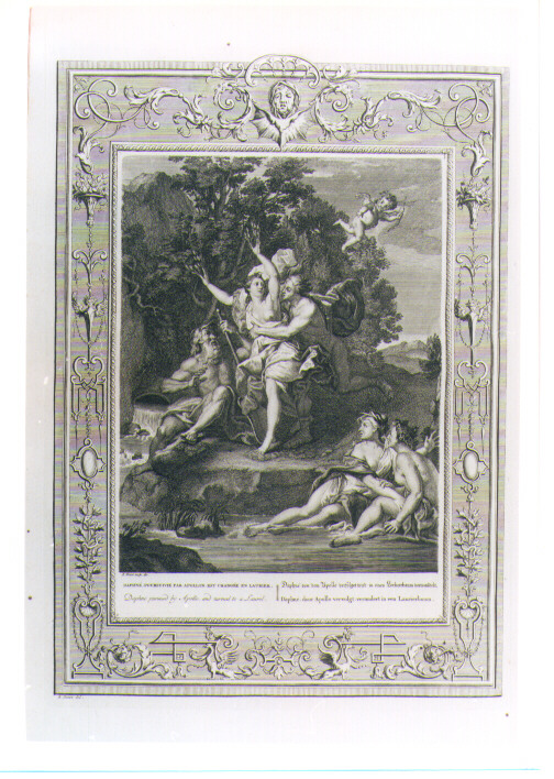 APOLLO E DAFNE (stampa) di Picart Bernard (sec. XVIII)