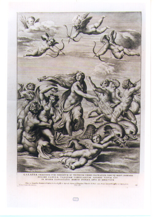 TRIONFO DI GALATEA (stampa) di Sanzio Raffaello detto Raffaello, Dorigny Nicolas (sec. XVII)