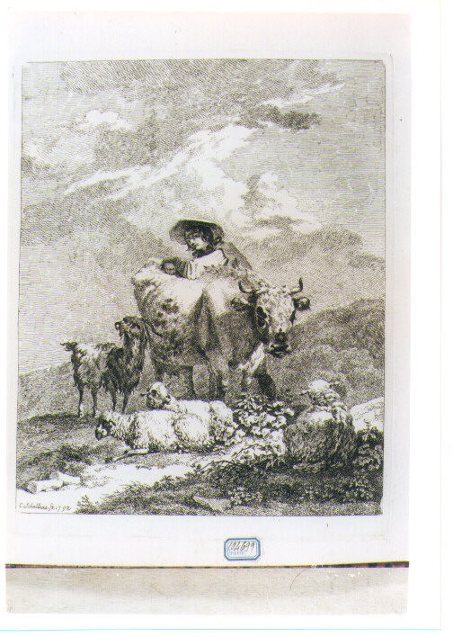 PAESAGGIO CON PASTORE E ANIMALI (stampa) di Schallhas Carl Philipp (attribuito) (sec. XVIII)