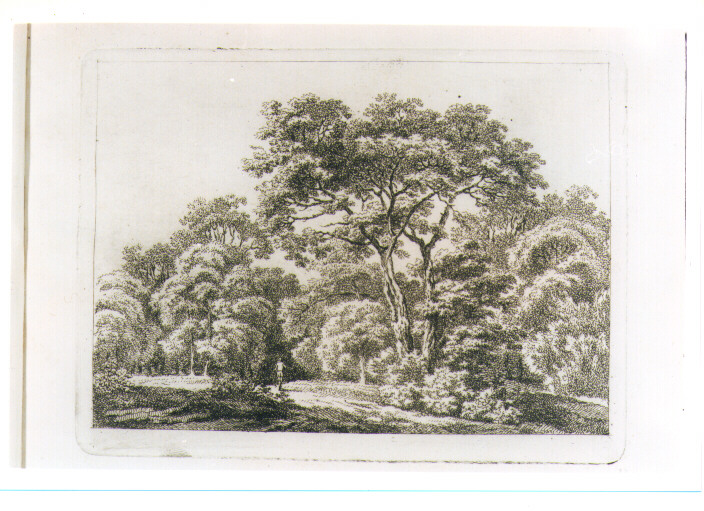 PAESAGGIO CON ALBERI (stampa) di Schallhas Carl Philipp (attribuito) (fine sec. XVIII)