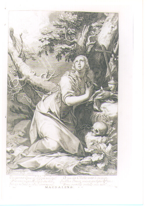 SANTA MARIA MADDALENA PENITENTE (stampa) di Bloemaert Abraham, Swanenburgh Willem II (sec. XVIII)