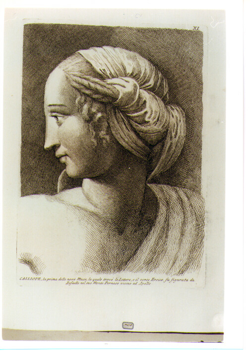 TESTA DI CALLIOPE (stampa) di Sanzio Raffaello detto Raffaello (CERCHIA), Fidanza Paolo (sec. XVIII)