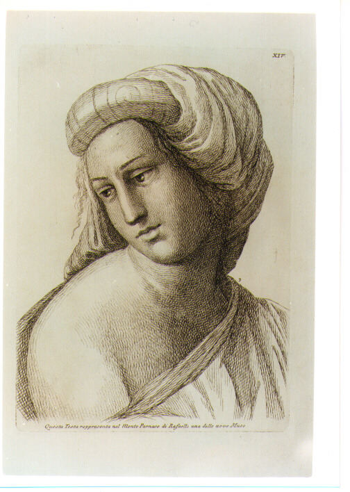 TESTA DI MELPOMENE (stampa) di Sanzio Raffaello detto Raffaello (CERCHIA), Fidanza Paolo (sec. XVIII)