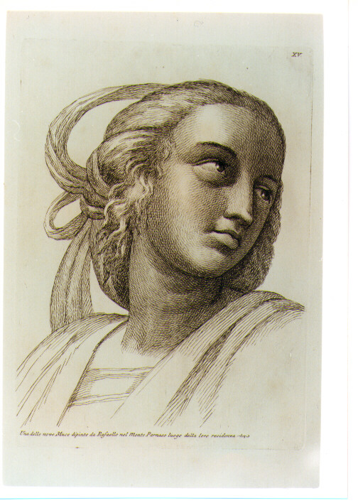 TESTA DI URANIA (stampa) di Sanzio Raffaello detto Raffaello (CERCHIA), Fidanza Paolo (sec. XVIII)