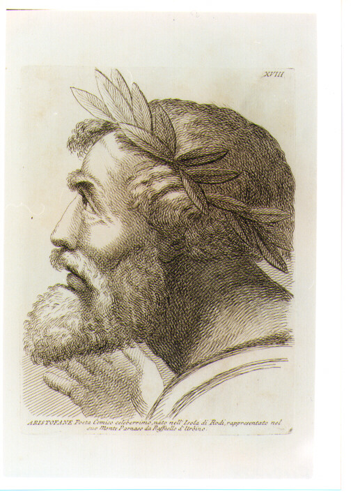 TESTA DI ARISTOFANE (stampa) di Sanzio Raffaello detto Raffaello (CERCHIA), Fidanza Paolo (sec. XVIII)