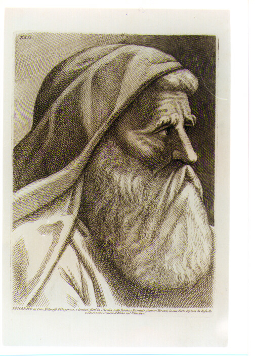 TESTA DI EPICARMO (stampa) di Sanzio Raffaello detto Raffaello (CERCHIA), Fidanza Paolo (sec. XVIII)