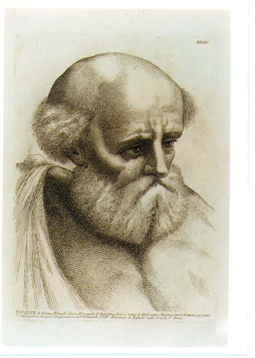 TESTA DI DIOGENE (stampa) di Sanzio Raffaello detto Raffaello (CERCHIA), Fidanza Paolo (sec. XVIII)