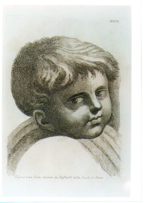 TESTA DI PUTTO (stampa) di Sanzio Raffaello detto Raffaello (CERCHIA), Fidanza Paolo (sec. XVIII)