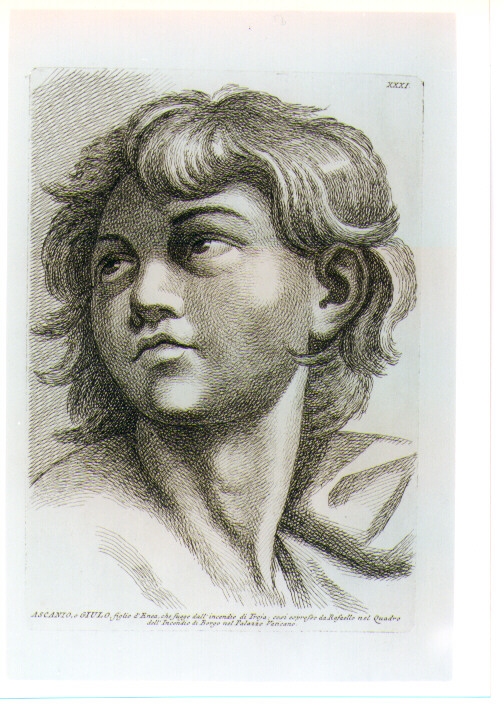 TESTA DI ASCANIO (stampa) di Sanzio Raffaello detto Raffaello (CERCHIA), Fidanza Paolo (sec. XVIII)