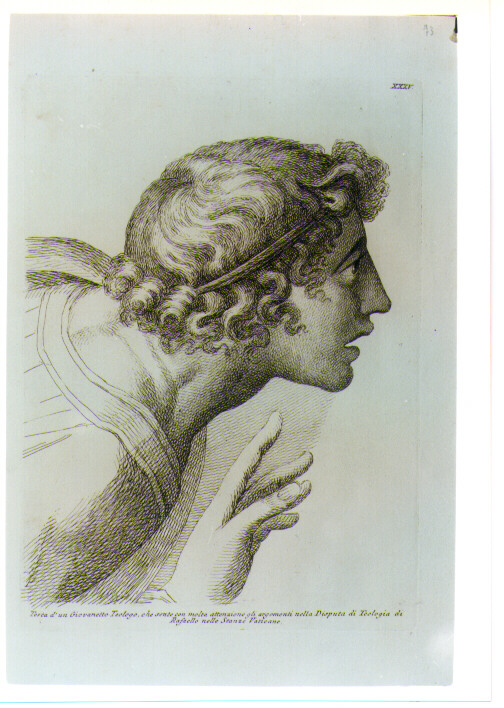 TESTA DI GIOVINETTO (stampa) di Sanzio Raffaello detto Raffaello (CERCHIA), Fidanza Paolo (sec. XVIII)
