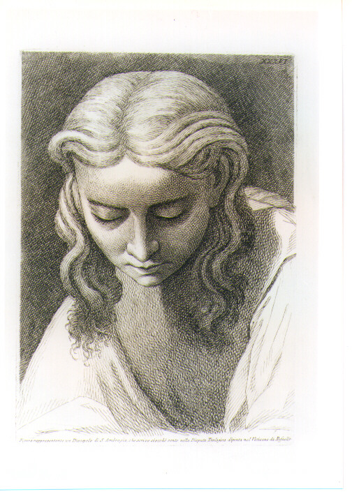 TESTA DI GIOVINETTO (stampa) di Sanzio Raffaello detto Raffaello (CERCHIA), Fidanza Paolo (sec. XVIII)