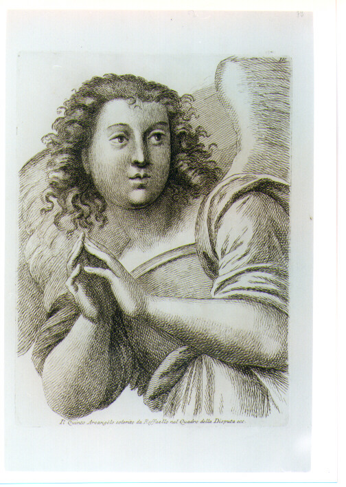 TESTA DI ARCANGELO (stampa) di Sanzio Raffaello detto Raffaello (CERCHIA), Fidanza Paolo (sec. XVIII)